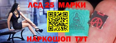 мет Можга