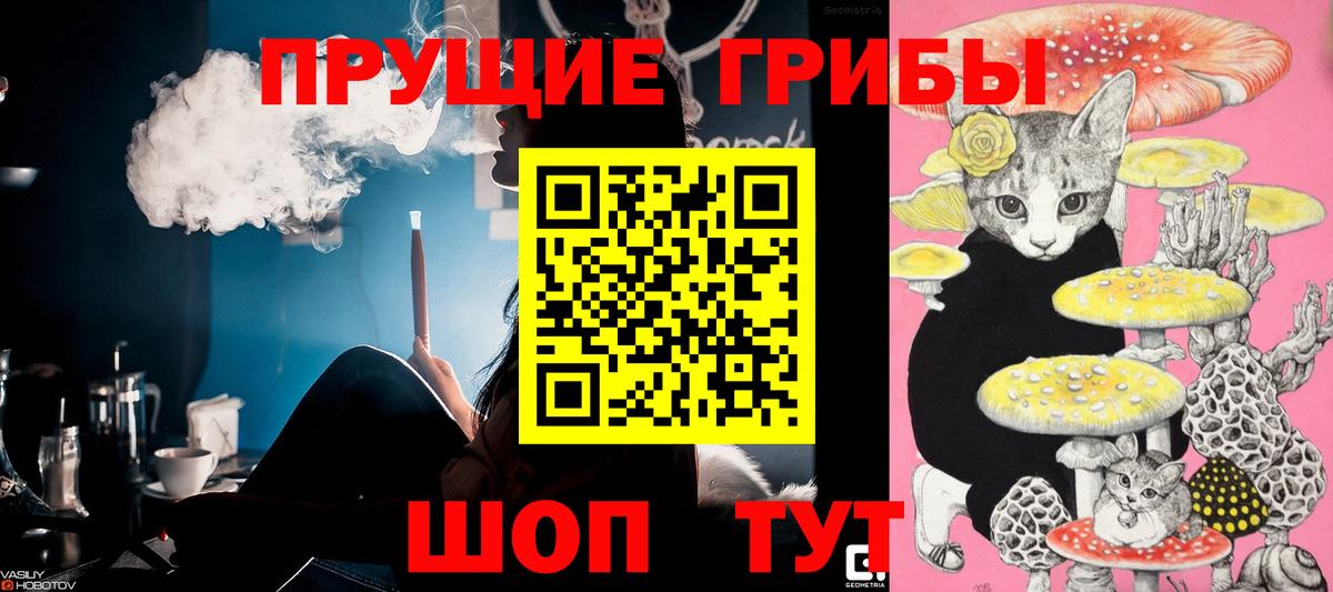 Галлюциногенные грибы GOLDEN TEACHER Холмск