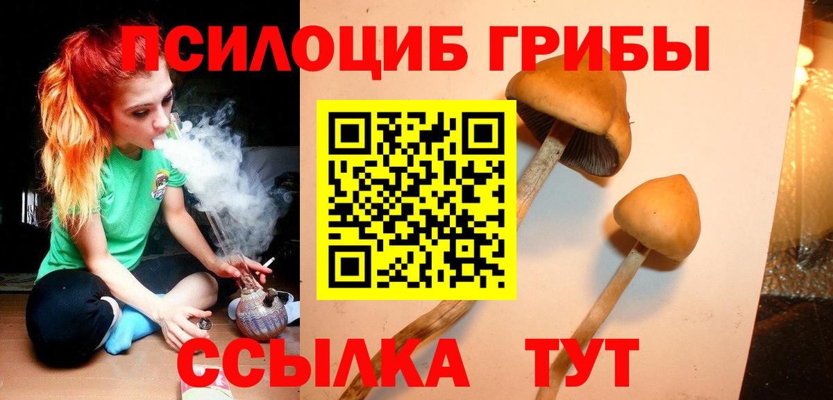 хочу наркоту  Вход с VPN  Галлюциногенные грибы GOLDEN TEACHER  Холмск  Галлюциногенные грибы мухоморы 